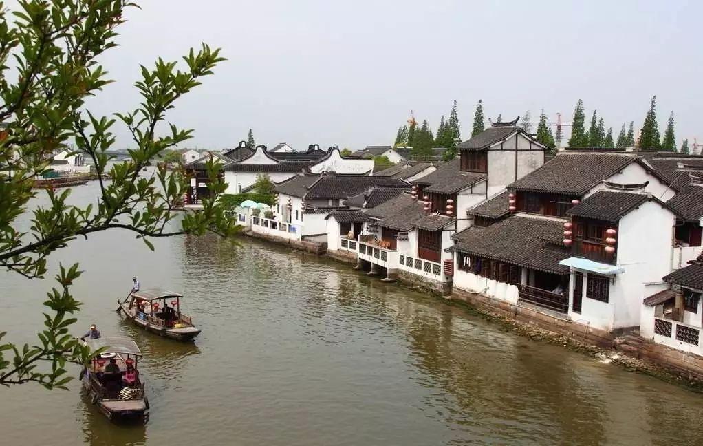 李玫瑾批评《繁花》，引热议！道歉删帖难平众怒？闹大了！